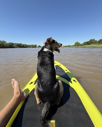 Coraje al frente de la tabla, mirando el río