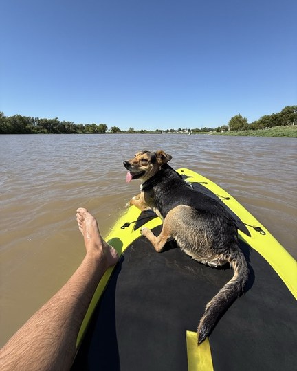 Coraje a bordo, en plena navegación